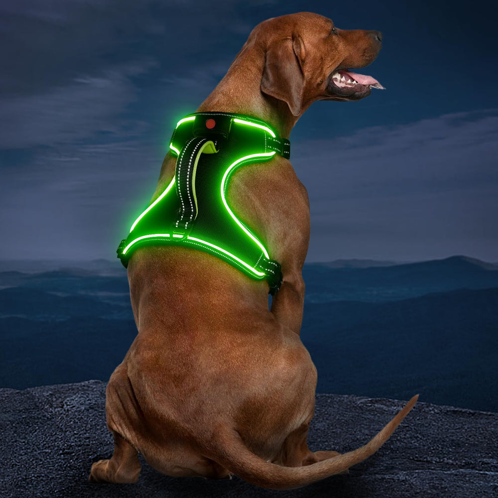 Vizbrite light-up dog harness front clip for no-pull control during walks.