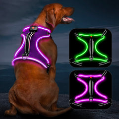 Vizbrite Light Up Dog Harness front clip for no-pull control during walks