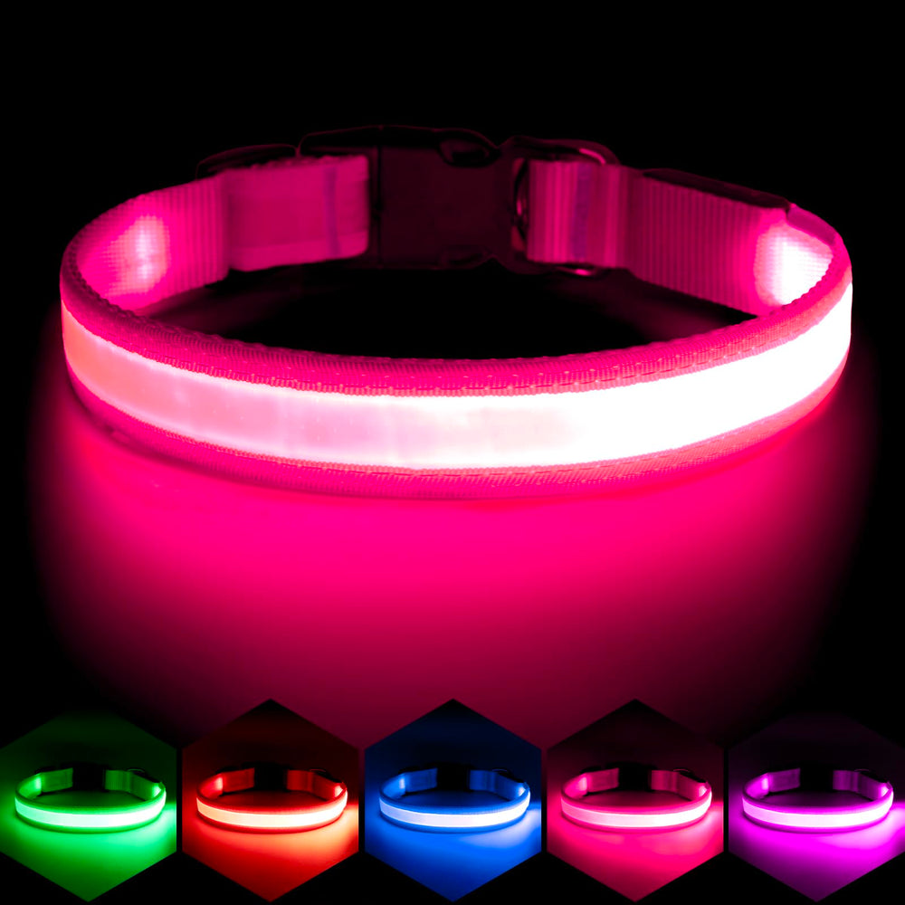 Vizpet collar LED para perro ajustable con recarga USB para uso diario seguro.