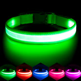 Vizpet LED dog collar in green, X-Large, closed buckle for secure fit during walks.