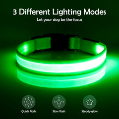 Vizpet LED dog collar worn by large dog, ergonomic comfort with bright visibility.