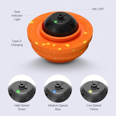 VNAKIO ball in use during indoor fetch and chase sessions.