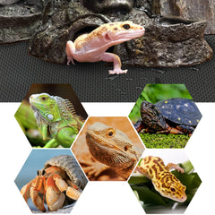 Vodolo reptile terrarium carpet bedding, non-adhesive surface supports safe, easy cleaning and mess reduction