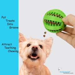 Volacopets treat-dispensing ball rewarding dogs during problem-solving games
