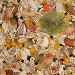 Volkman Avian Science Super Parrot Food ingredients closeup—vitamin rich mix supports feather care and vitality