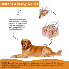 VOSIFSDIY dog quercetin dropper dispenses precise dosing for easy use.