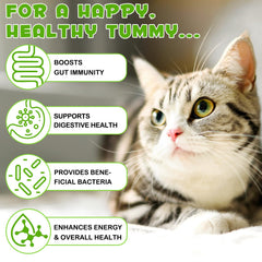 VOSIFSDIY Prebiotic-Probiotic Activation highlights synergy in gut flora support.