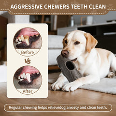 VOXGET frozen mold tray—demonstrates long-lasting enrichment with frozen treats