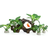 Vtapliea driftwood cave decor creates a lifelike hiding spot in your betta tank.