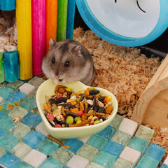 VTurboWay hamster ceramic food bowl purple—easy-clean surface.