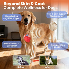 VUN Omega 3 dog chews coat shine closeup suggesting potential shedding reduction and healthier fur.