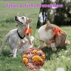 VUN Dog Flea Tick Chews chicken flavor close-up for easy daily use.