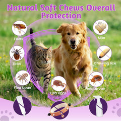 VUN Dog Flea Tick Chews offered as a tasty daily pest protection.