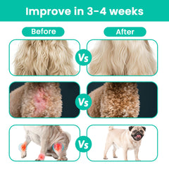 VUN Liquid Collagen Drops bacon flavor serving to aid acceptance