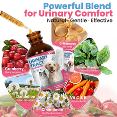 VUN cat and dog uti drops being mixed with food for daily urinary support.