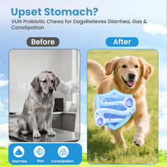VUN Probiotics for Dogs prebiotics-digestive-enzymes help with nutrient absorption and digestion.
