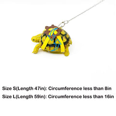 VZqola colorful balls for nibbling and chasing during enrichment play