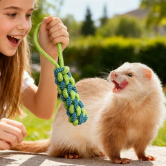 VZqola ferret knotted rope toy showcases durable tug-of-war and gnawing fun.