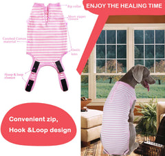 Wabdhaly recovery suit for dogs demonstrates potty-break usability.