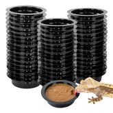 WACOOL magnetic reptile ledge setup on glass tank, secure feeding area.