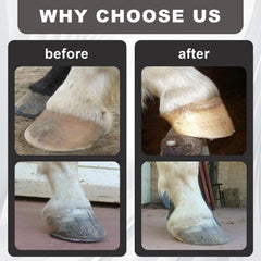Wadoy Mini Hoof Rasp textured grip for secure control in wet conditions.