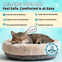 Wagmee Cat Calming Treats crunchy shell close-up showing chicken flavor appealing to picky cats