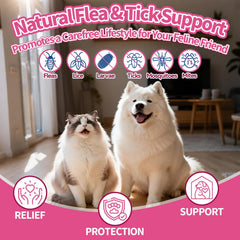 Wagmee omega-3, biotin, and vitamin E blend for skin and coat.