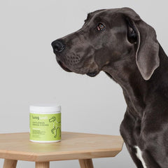 WagWell Ahiflower Omega Chews in bowl illustrating easy daily dosing routine