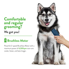 Wahl KMC+ navy cordless clipper provides flexible runtime for grooming on the go.