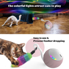 WAKHJAKT two-speed modes adapt to active or calm cats