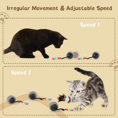 WAKHJAKT feather-head accessory on the toy encourages chasing.