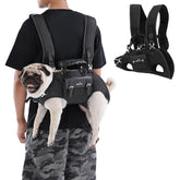 Wakytu dog backpack carrier front view for secure, hands-free outings.