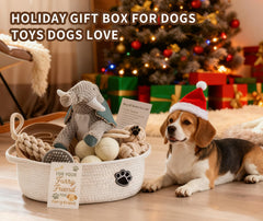 Wanapure slow-feed bowl for mindful puppy meals