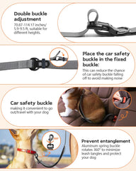 WANFIRE leash worn as waist belt for running with a dog.