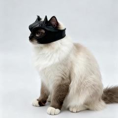 WANHUHOU Cat Bat Mask worn on a cat during cosplay creates a playful, photo-ready moment.
