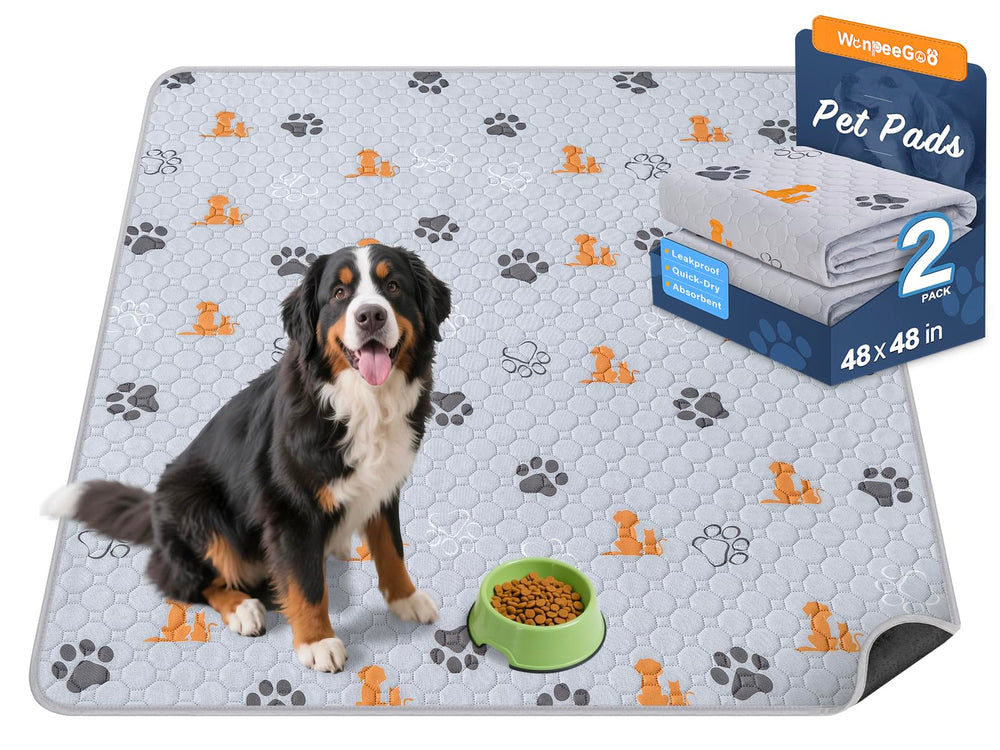 WanpeeGoo pee pad setup for training and playtime