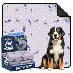 WanpeeGoo washable pee pad 2-pack for reusable puppy training and spill control.