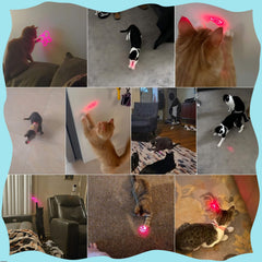 Waputne cat toy pointer dot pattern in action, inviting a bright chase.