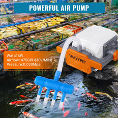 WAYYPET air-manifold four-outlet demonstrates multi-tank capability for commercial setups.