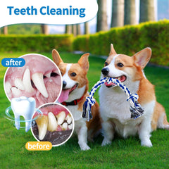 WDZZHOT rope toy supports interactive play and bonding during tug games.