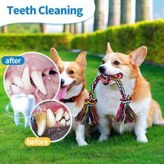WDZZHOT teeth-cleaning rope toy showing gentle flossing action.