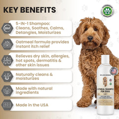 We Love Doodles 5-in-1 oatmeal shampoo-lather evokes rich foam for a soothing wash.