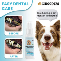 We Love Doodles dental spray being applied to a dog's teeth for cleaner mouth.