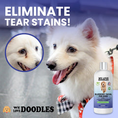 We Love Doodles tear-stain-removal-action on dog fur close-up.
