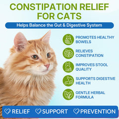 WEALLIN cat constipation relief drops pouring into food, promotes smooth mixing for acceptance.