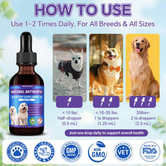 WEALLIN dog antibiotics bottle beside skin care visuals representing itch relief.
