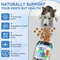 WEALLIN dog probiotic soft chews in chicken flavor for easy feeding