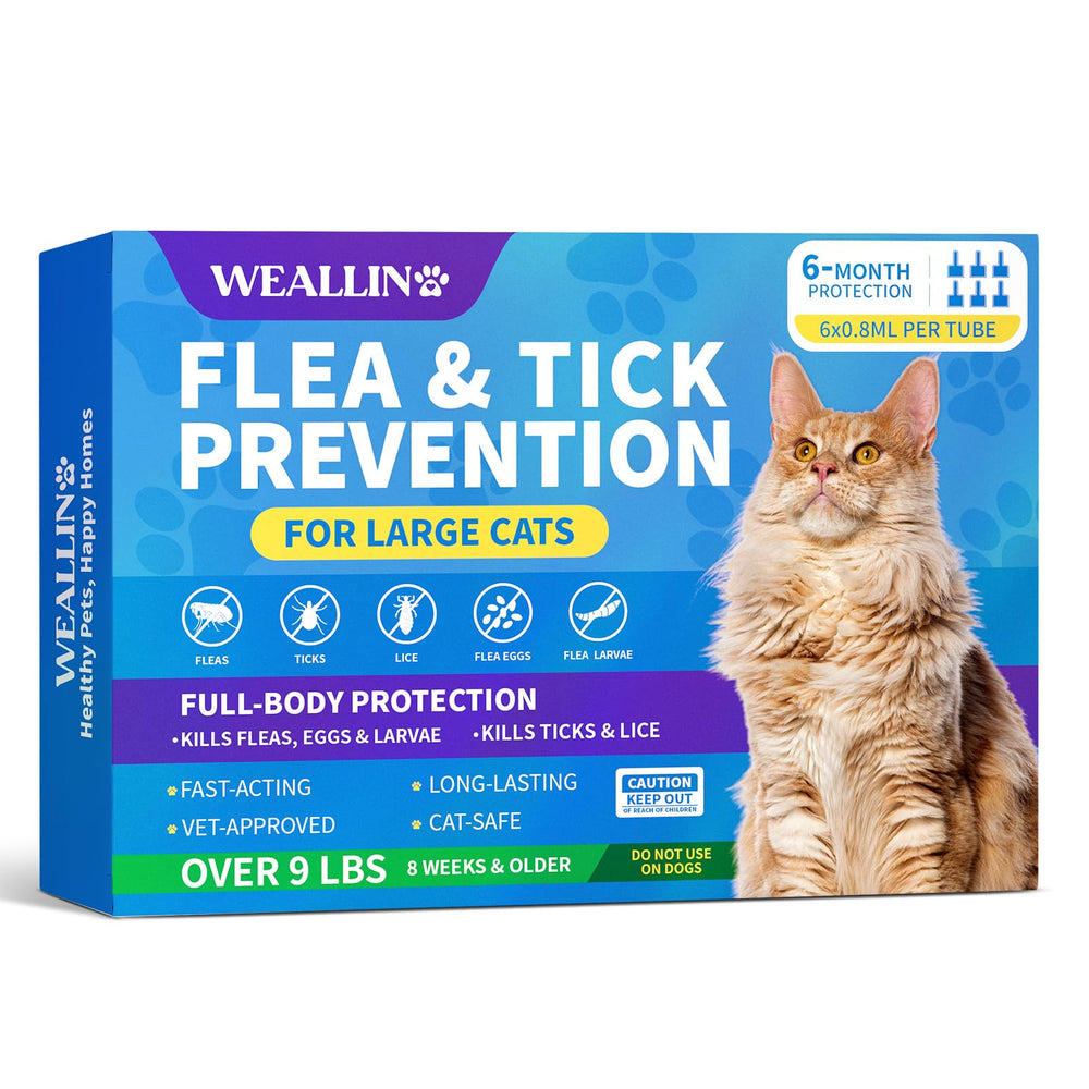 WEALLIN flea tick treatment applied between the shoulder blades provides quick protection for large cats.