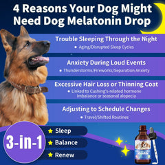 WEALLIN Melatonin for Dogs dog face relaxed after calming support.
