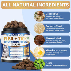 WEALLIN natural flea tick care coat image highlights skin support and glossy fur.